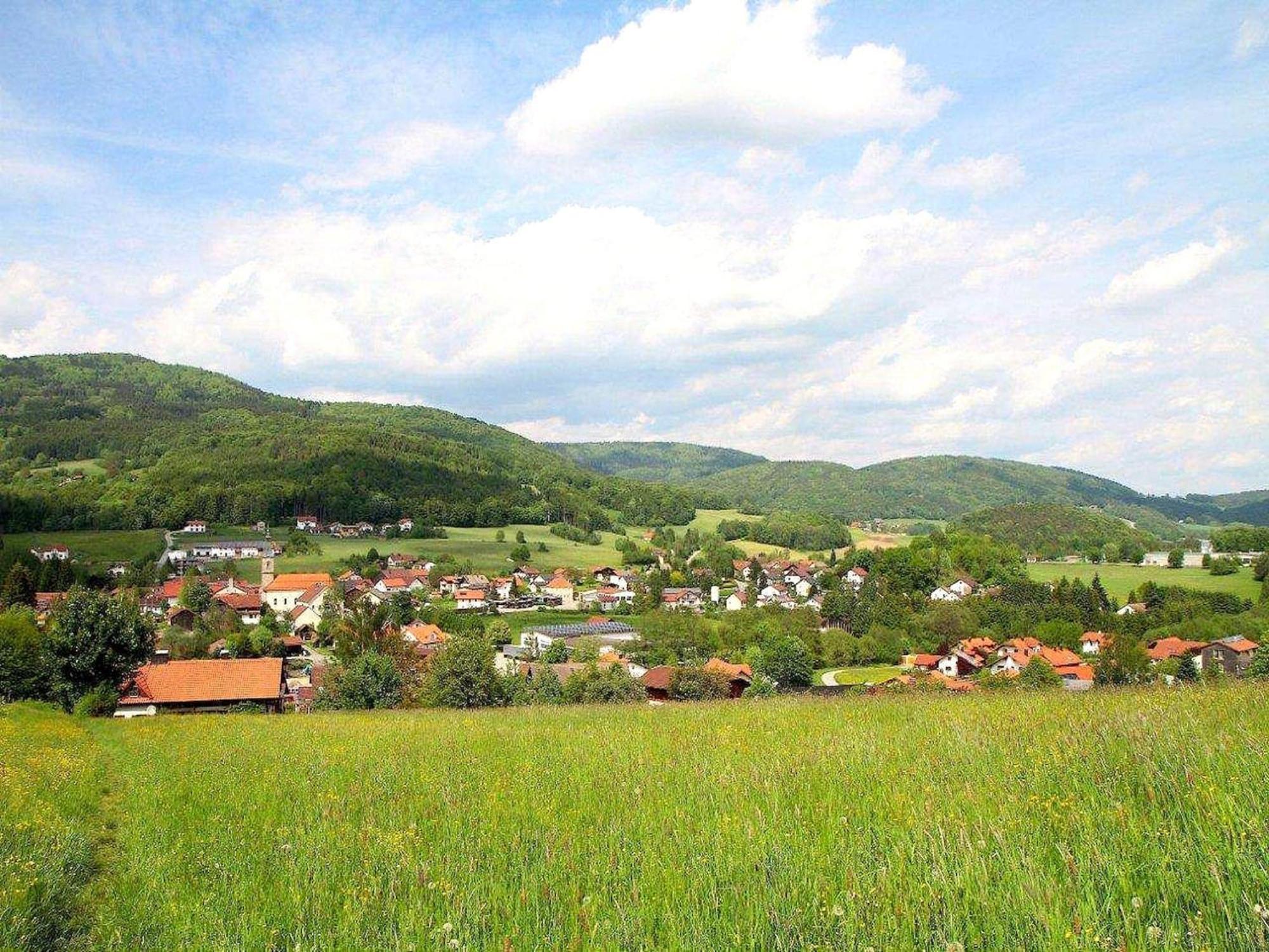 Comfortable Apartment In Zenting In Lower Bavaria Esterno foto