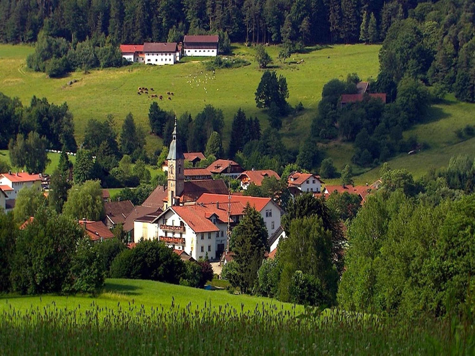 Comfortable Apartment In Zenting In Lower Bavaria Esterno foto