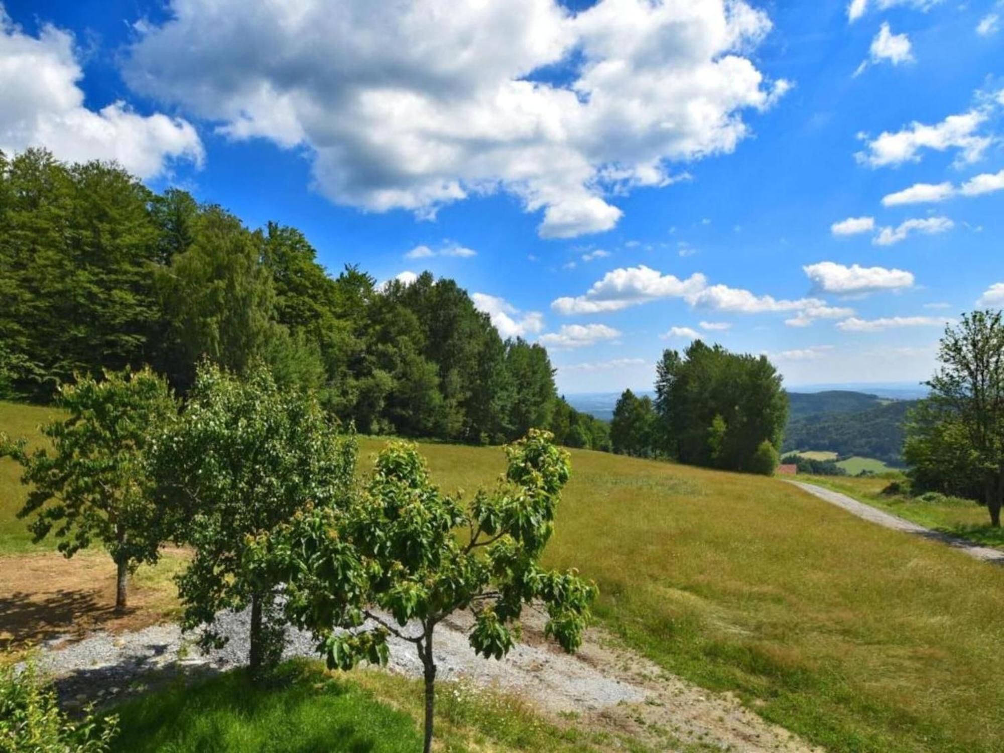 Comfortable Apartment In Zenting In Lower Bavaria Esterno foto